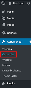 Customize Appearance Option in WordPress