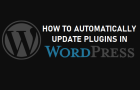 Automatically Update Plugins in WordPress