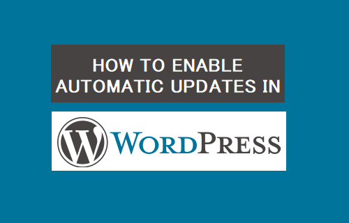 Enable Automatic Updates in WordPress