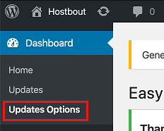 Updates Options Tab in WordPress