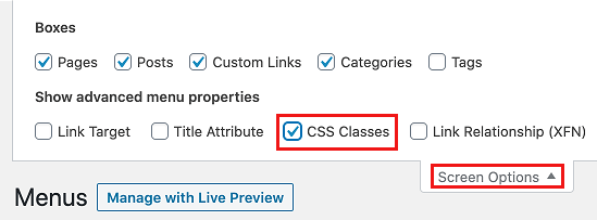 Show CSS Classes Option in WordPress Menus Settings Page