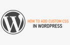 Add Custom CSS in WordPress